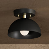 Single Light Semi Flush Fixture