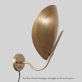 Turtle Brass Wall Sconce