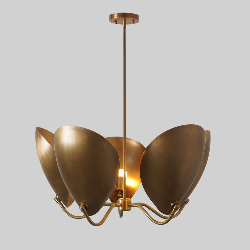 5 Curved Disk Shade Chandelier