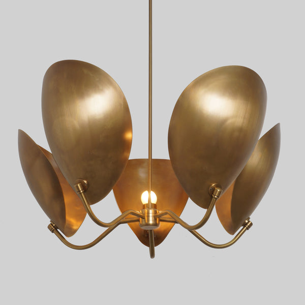 5 Curved Disk Shade Chandelier