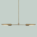 Modern Brass Double Shade Counterbalance Pendant Chandelier