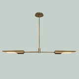 Modern Brass Double Shade Counterbalance Pendant Chandelier